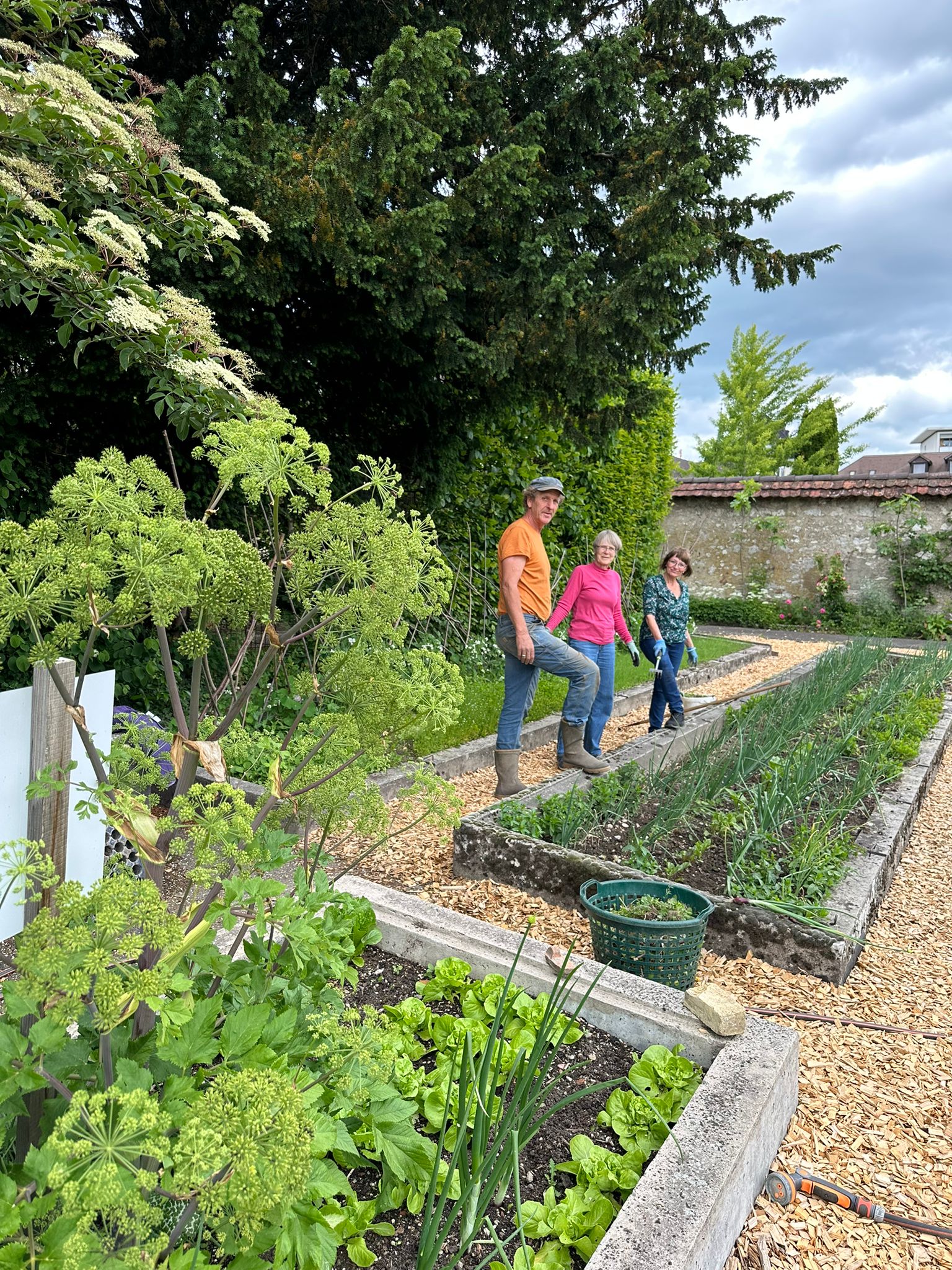 IMG-20250526-WA0005 IMG-20250526-WA0005